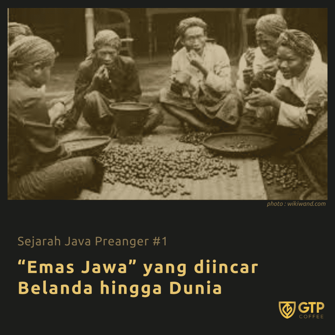 You are currently viewing Tahukah Anda bahwa Jawa Barat pernah merajai pasar kopi dunia ?