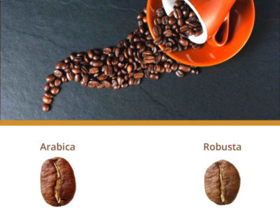 Kadar kafein dari Arabica dan Robusta