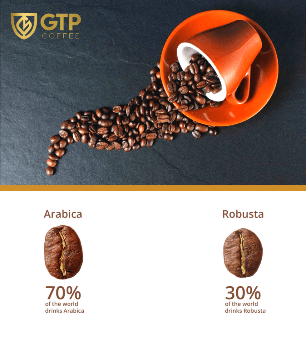 You are currently viewing Kadar kafein dari Arabica dan Robusta